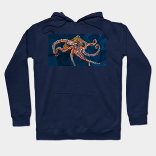 Pacific Octopus Hoodie